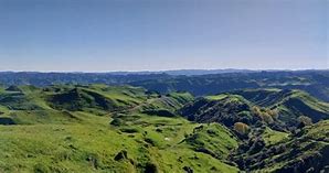 Image result for Due North Petite Pearl Blazing Hills