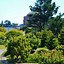 Image result for 500 Presidio Ave., San Francisco, CA 94115 United States