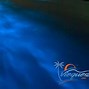Image result for Beach Glow Theme