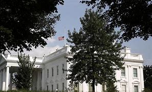 Image result for American Flag Ion White House
