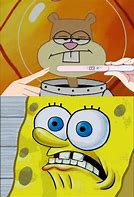 Image result for Spongebob and Sandy Memes