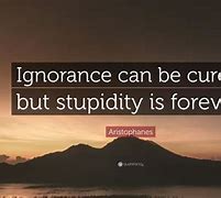 Image result for Ignorance and Stupidity Quotes