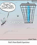 Image result for Bug Zapper It Is so Beutiful Meme