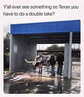 Image result for I Wish I Was in Texas Meme