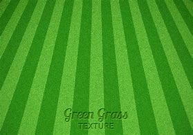 Image result for Mowed Grass Texture