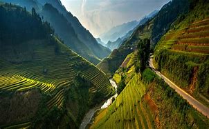 Image result for Terraced Mountains