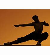 Image result for Martial Arts Sunset