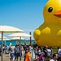 Image result for Largest Rubber Duck in the World