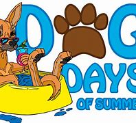 Image result for Funny Animal Summer Clip Art