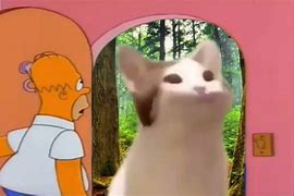 Image result for Spyx Cat Meme