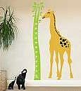 Image result for Meter Height Chart