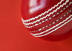 Image result for Cricket Ball Drawing