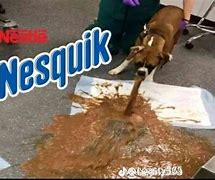 Image result for Nesquik Dog Meme