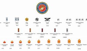 Image result for Marine Corps Warrant Officer Ranks