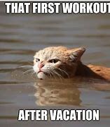 Image result for Cat Workout Meme