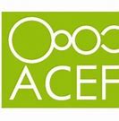 Image result for acefca