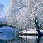 Image result for Beautiful Snowy Winter Scenes