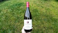 Image result for Laetitia Pinot Noir Clone 2a Wadensville
