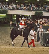 Image result for ruffian racehorse death