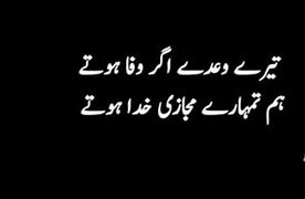 Image result for Funny Quotes in Urdu