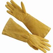 Image result for Long Gardening Gloves