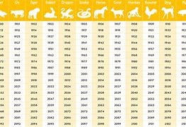 Image result for Chienese Year 2012