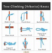 Image result for Climbing Rope Knots