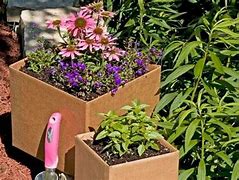 Image result for Growing Vegetables in Cardboard Boxes