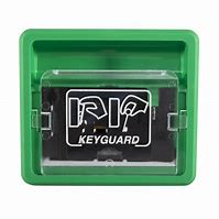 Image result for Lime Green Keyguard