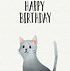 Image result for Happy Birthday Meme Cat Lover