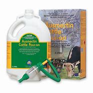 Image result for Ivermectin Pour On Cattle