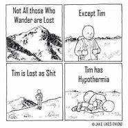 Image result for Tim Meme