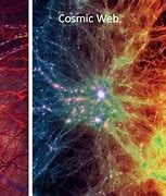 Image result for Universe Human Body