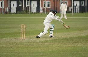 Image result for Stump Cricket