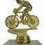Image result for Racing Trophies