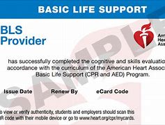 Image result for CPR and BLS Certification