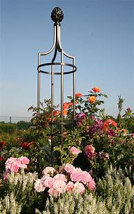 Image result for rose obelisk