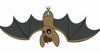 Image result for Upside Down Bat Cartoon