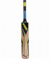 Image result for Puma Ashes 5 Cricket Bat Kashmir Willow