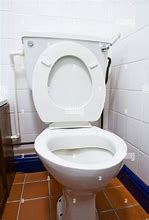 Image result for Toilet Seat Up