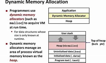 Image result for Dynamic Memory Allocation DSA