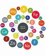 Image result for What Is the Difference Between a Vitamin and a Mineral