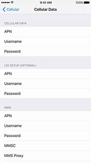 Image result for iPhone Cellular Data Settings