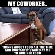 Image result for working from home memes dogs