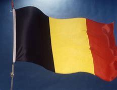 Image result for Flag of Belgium