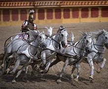 Image result for Famous Roman Chariot Racers