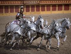 Image result for Race Horse Called Roman Tobin