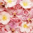 Image result for Flower Wallpaper for iPhone 6