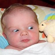 Image result for Funny Babies Faces