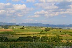 Image result for Zemljiste Srbije